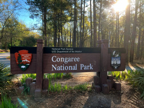 Congaree National Park